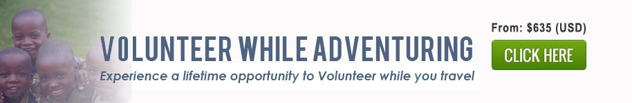 Volunteer While Adventuring